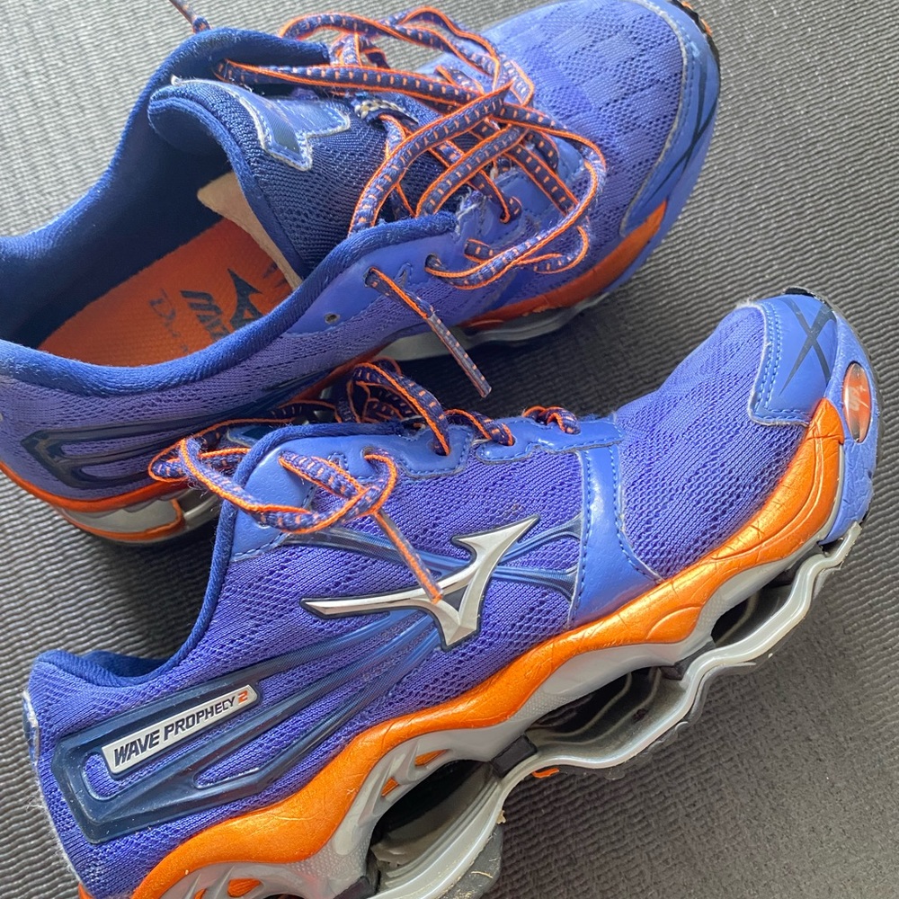 Mizuno wave prophecy 2